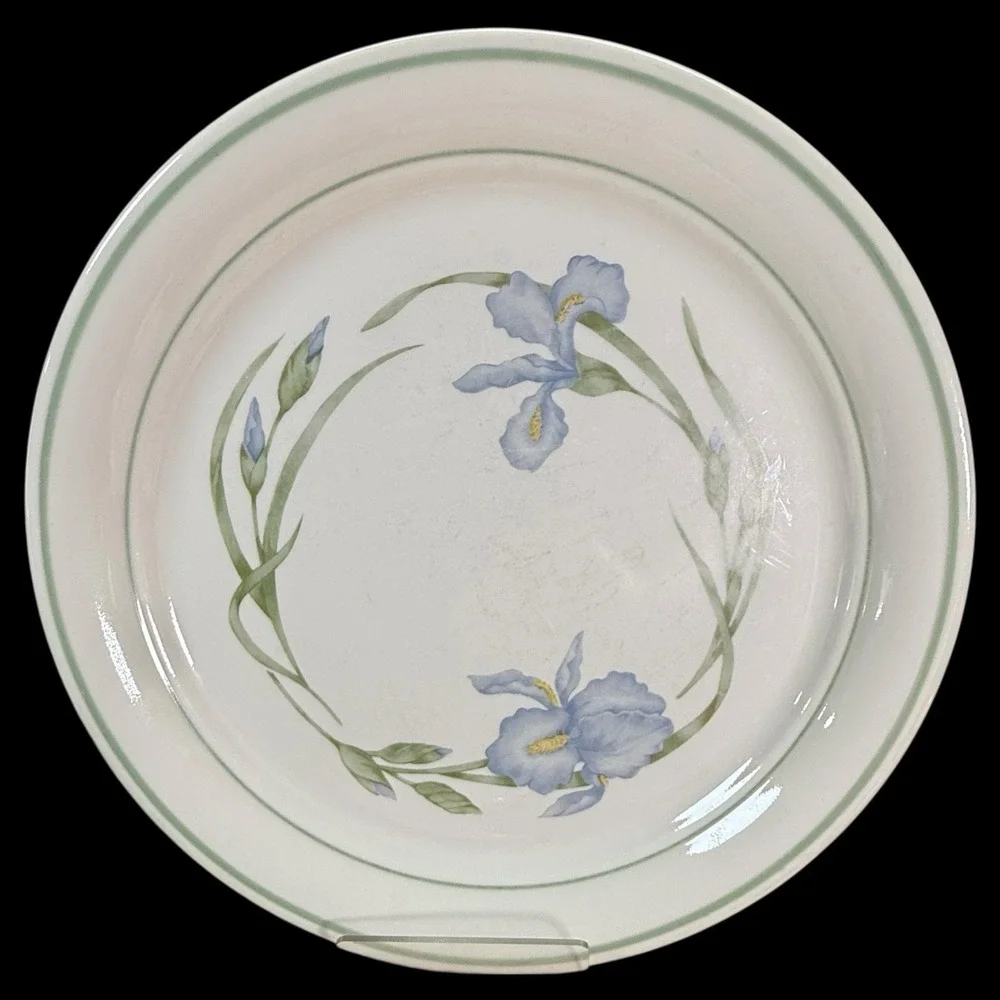 Corelle Cornerstone‎ IRIS Dinner Plates 10 1/4